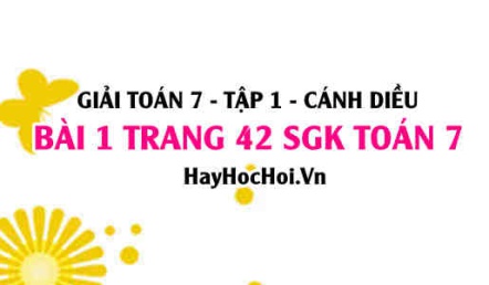 Giải bài 1 trang 42 Toán 7 Tập 1 SGK Cánh Diều